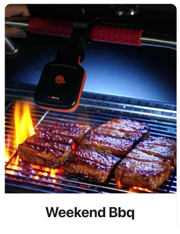 Lampes de barbecue A100 pour barbecue extérieur avec 10 LED 