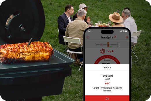 Set Target Temps, Get Notified Instantly TempPro