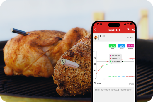 Real-Time Temperature Graphs TempPro