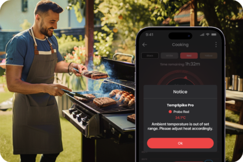 Real-Time Temperature Updates TempPro