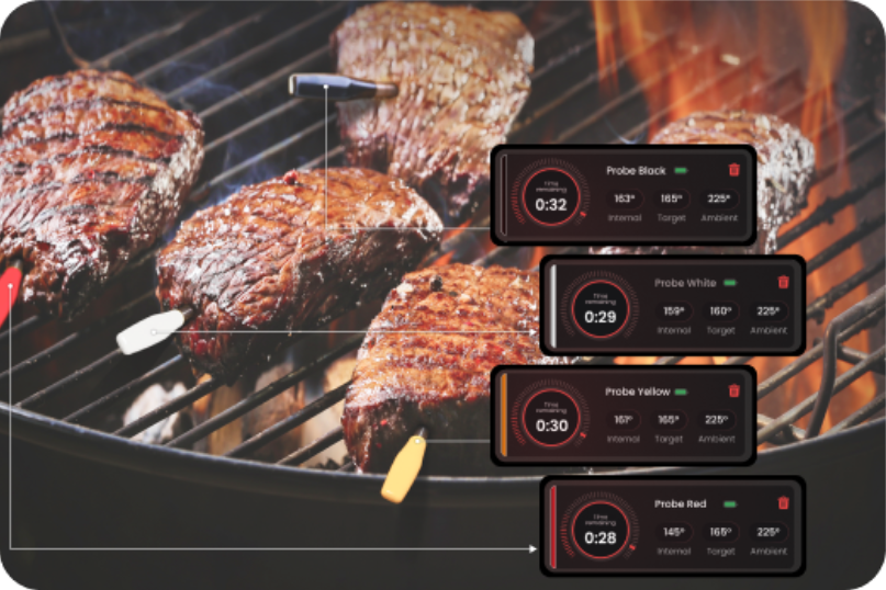 Monitor Multiple Dishes at Once TempPro
