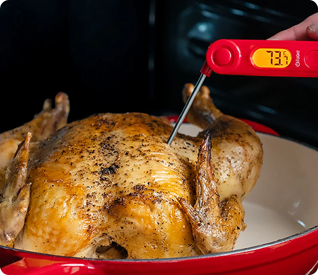 TempPro TP03B Instant-Read Meat Thermometer — 1-Second Digital, Backlit