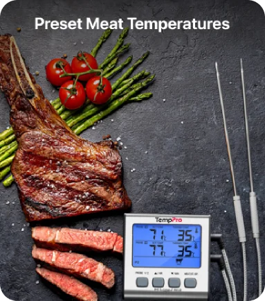 Thermomètre à viande numérique TP17W avec deux sondes et mode minuterie Thermomètre pour fumoir et gril avec grand écran LCD
