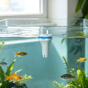 Thermomètre de piscine solaire sans fil TempPro TempAir PLUS TP212B - Portée de 150m, étanche IPX8