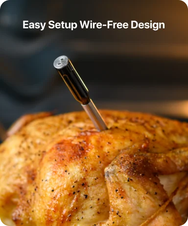 TempPro TempSpike TP961 Smart Wireless Meat Thermometer — Truly Wireless, Bluetooth