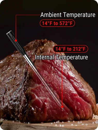 Thermomètre à viande sans fil Bluetooth TempSpike TP961 – Noir, portée de 150 m