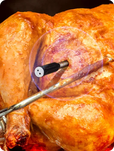 Thermomètre à viande sans fil Bluetooth TempSpike TP961 – Noir, portée de 150 m