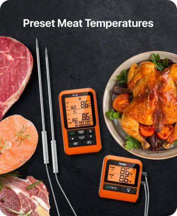 TempPro TP826 Wireless Meat Thermometer — Bluetooth, App Monitoring