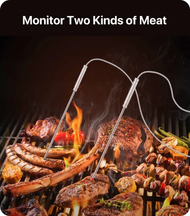 TempPro TP828B Wireless Meat Thermometer — Bluetooth, App Monitoring