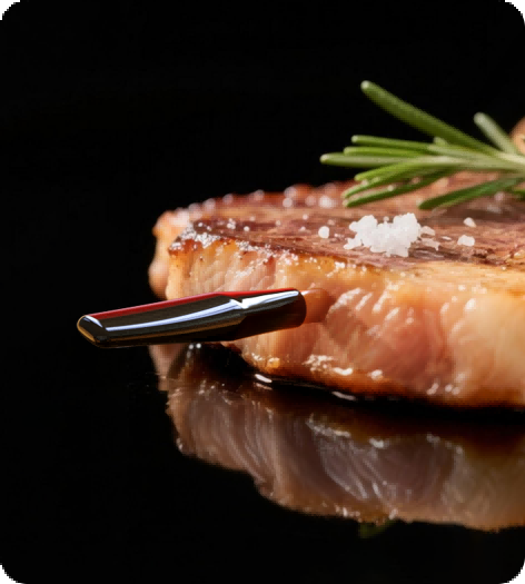 TempPro TempSpike Plus TP970 Smart Wireless Meat Thermometer — Truly Wireless, 600-ft Bluetooth