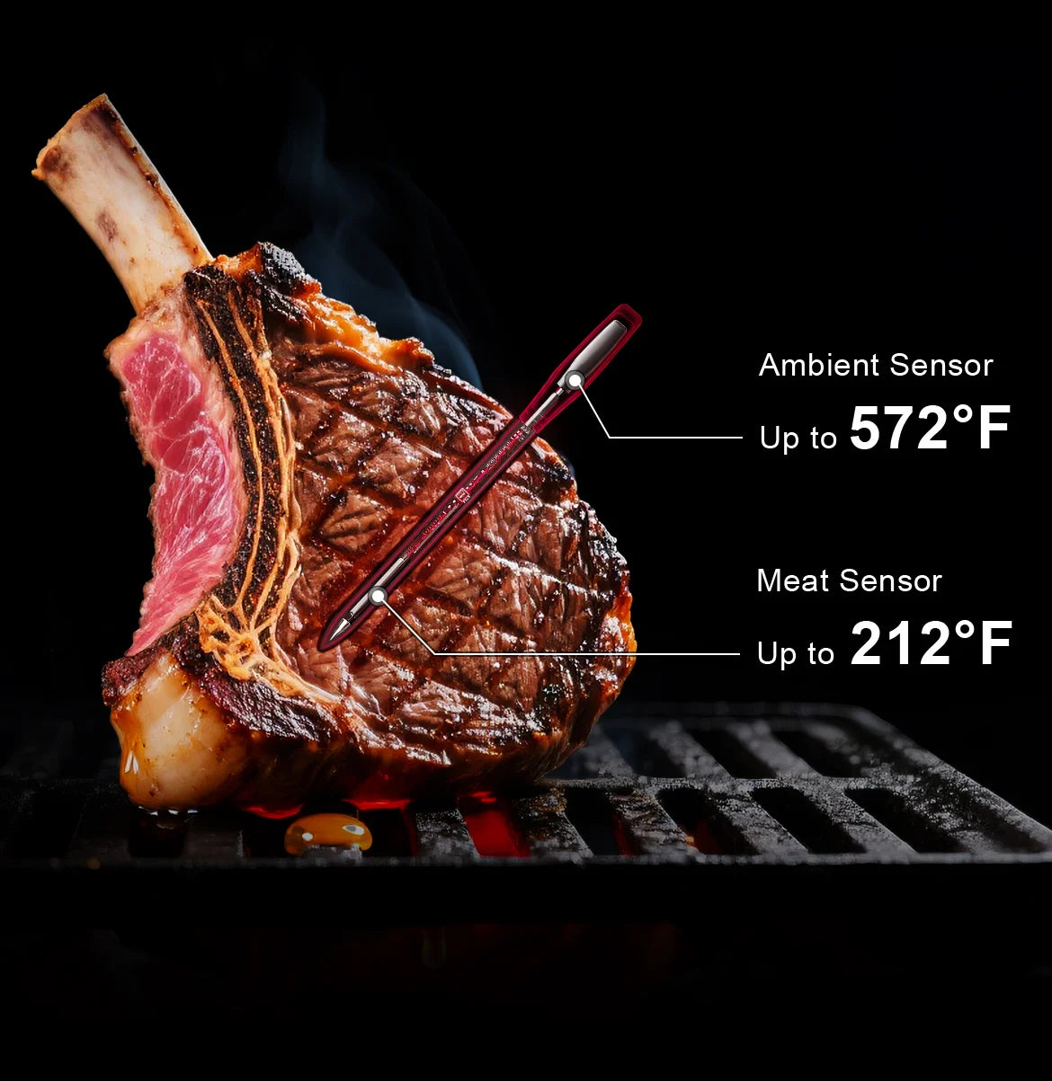 TempPro Twin TempSpike Plus TP972 Smart Wireless Meat Thermometer — Dual Probe, Long-Range Bluetooth