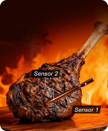 TempPro TempSpike TP960 Smart Wireless Meat Thermometer — Truly Wireless, Bluetooth