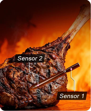 TempPro TempSpike TP960 Smart Wireless Meat Thermometer — Truly Wireless, Bluetooth