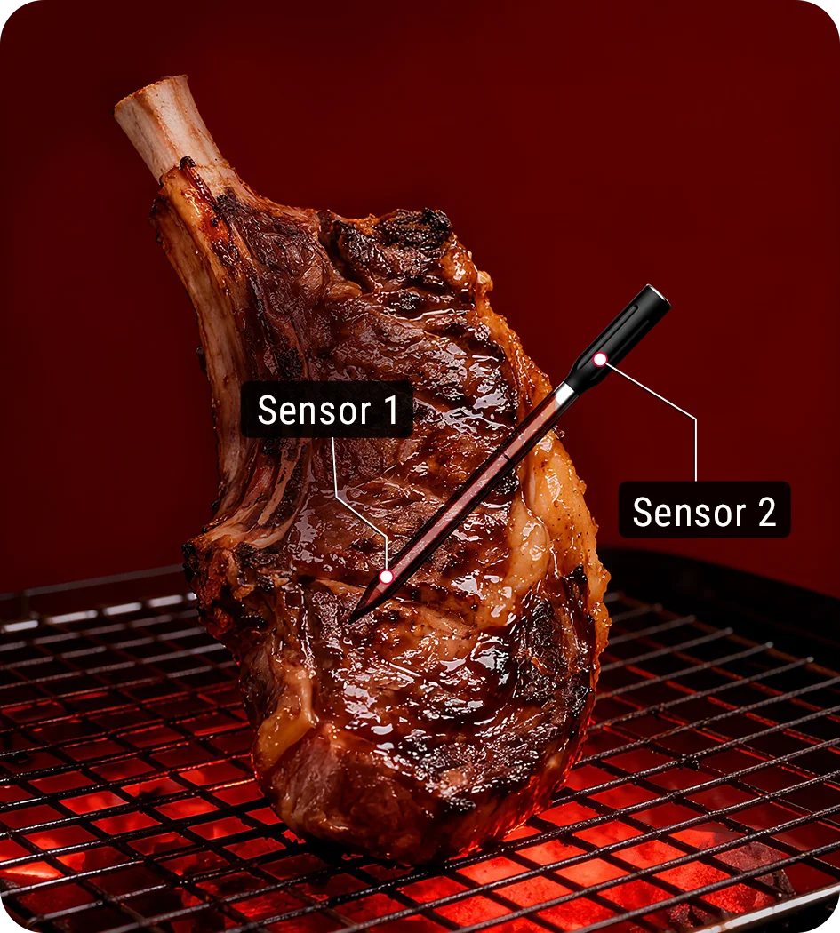 TempPro TempSpike TP960 Smart Wireless Meat Thermometer — Truly Wireless, Bluetooth