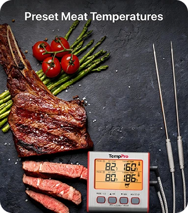 TempPro TP17W Dual-Probe Leave-In Meat Thermometer—Timer, USDA Presets & High/Low Alarm