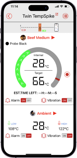 Smart BBQ Starts with TempSpike TempPro