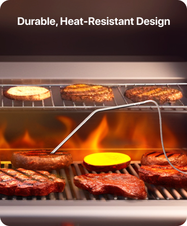 Thermomètre à viande sans rinçage TP16
