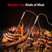 Termómetro inalámbrico TempPro TempSync PLUS TP828BW para carne — RF de 152 m, sondas dobles, 4 modos de alarma · Edición para tiendas
