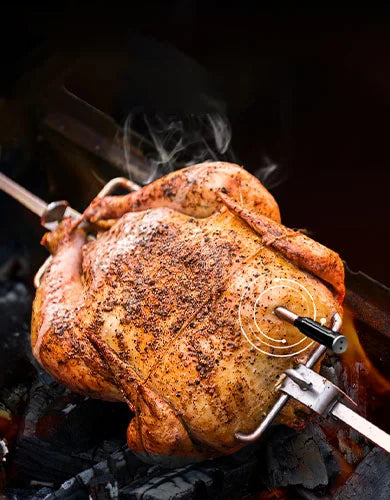 Thermomètre à viande sans fil Bluetooth TempSpike TP961 – Noir, portée de 150 m