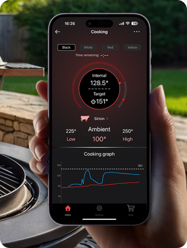TempPro TempSpike Pro TP980 WiFi Meat Thermometer (2 Probes) + TP420 2-in-1 Infrared & Instant-Read Thermometer
