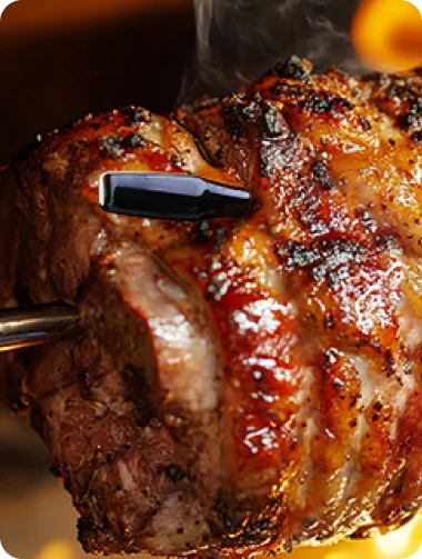 TempPro TempSpike Pro TP980 Smart Wi-Fi Meat Thermometer — Up to 4 Probes, Wi-Fi + 1,060-ft Bluetooth
