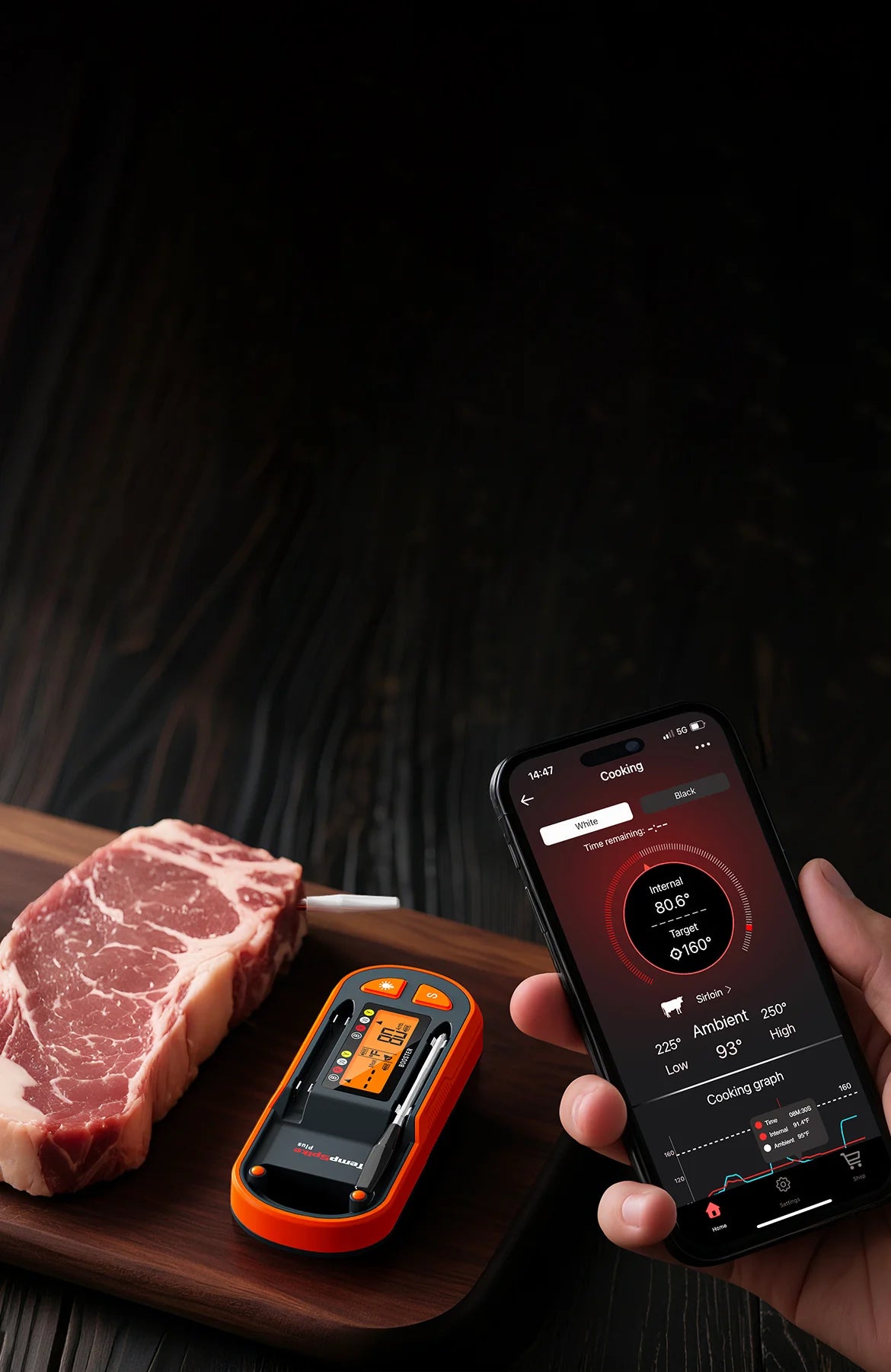 TempPro Twin TempSpike Plus TP972 Smart Wireless Meat Thermometer — Dual Probe, Long-Range Bluetooth